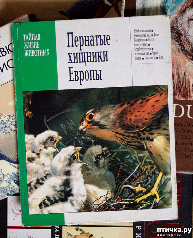 ���� 42: ���� ��������