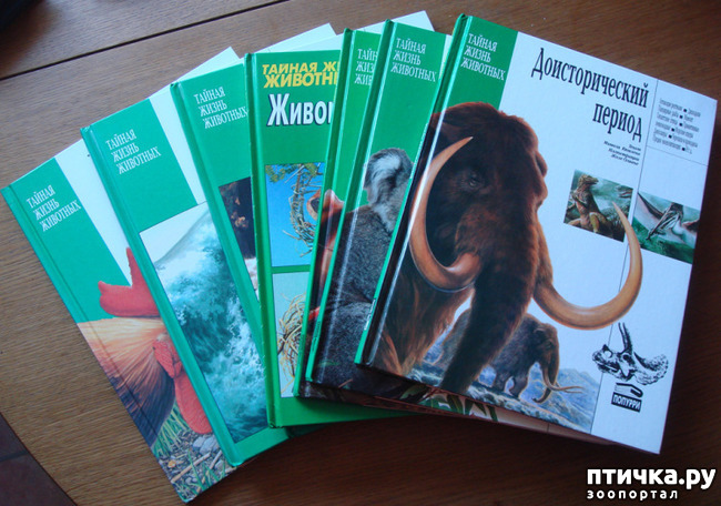 ���� 43: ���� ��������