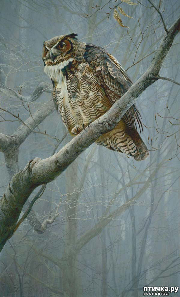 ���� 3: ���� ��������