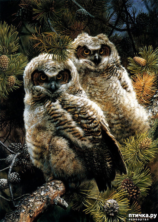 ���� 6: ���� ��������