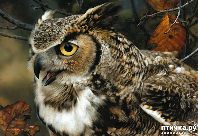 ���� 4: ���� ��������