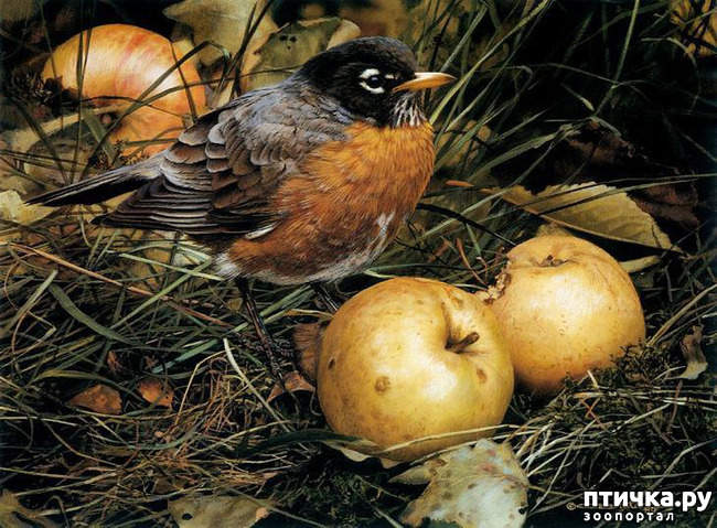 ���� 9: ���� ��������