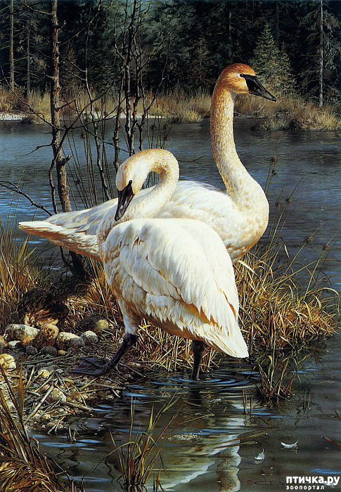 ���� 8: ���� ��������