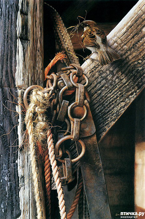 ���� 10: ���� ��������