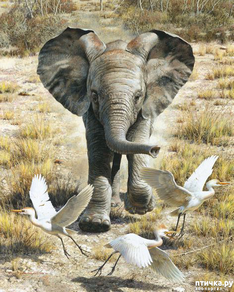 ���� 17: ���� ��������