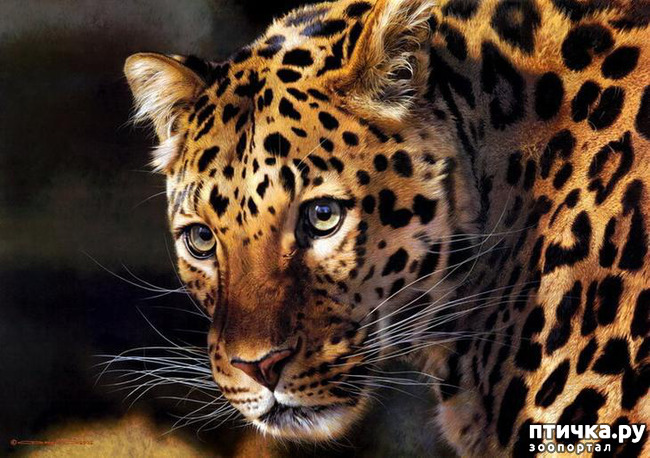 ���� 19: ���� ��������