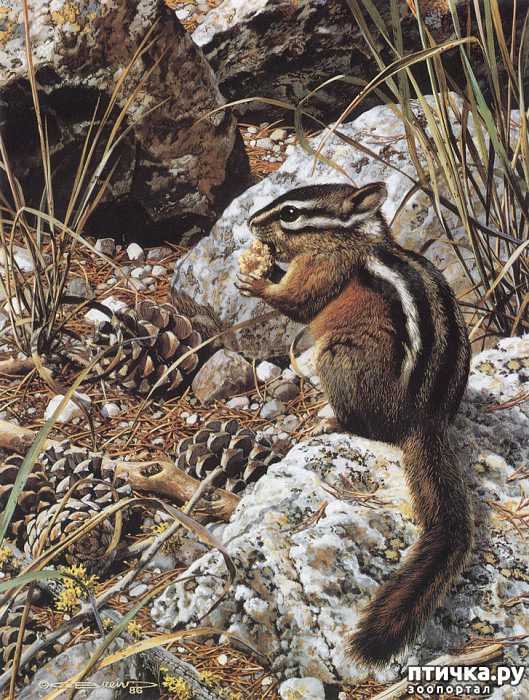 ���� 18: ���� ��������