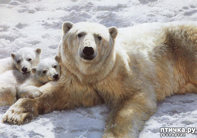 ���� 20: ���� ��������