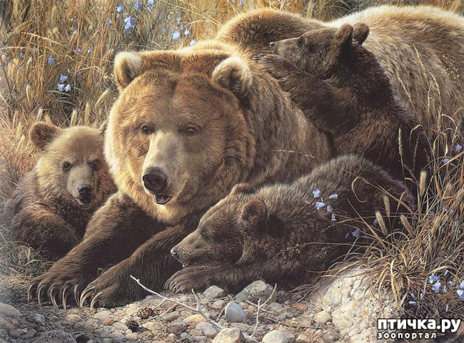 ���� 21: ���� ��������