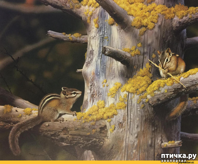 ���� 27: ���� ��������