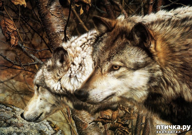 ���� 30: ���� ��������