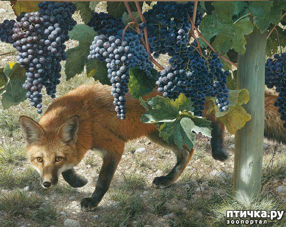 ���� 31: ���� ��������