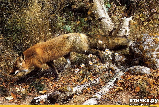 ���� 25: ���� ��������