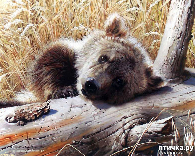 ���� 23: ���� ��������