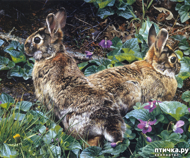 ���� 29: ���� ��������