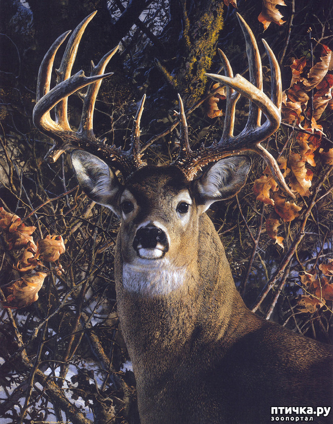 ���� 32: ���� ��������