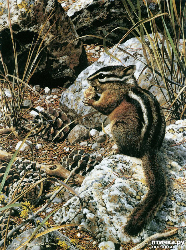 ���� 35: ���� ��������