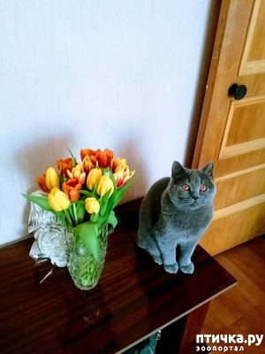 ����: � ����������!