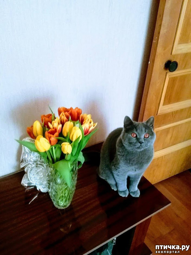 ���� 1: � ����������!