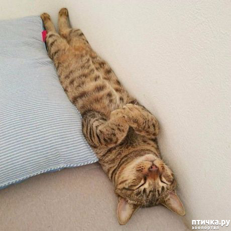 ���� 3: � ����������!