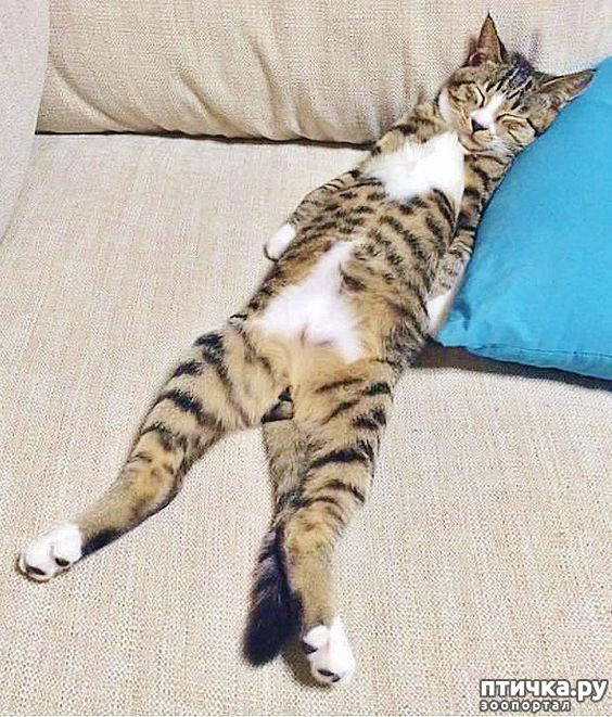 ���� 4: � ����������!