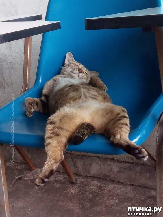 ���� 6: � ����������!