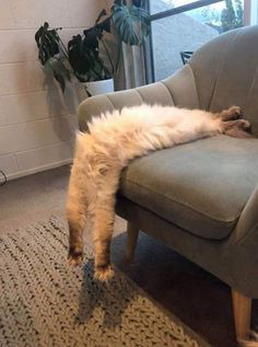 ���� 7: � ����������!