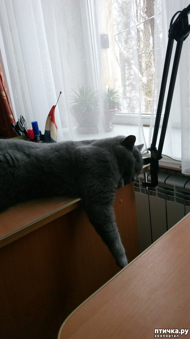 ���� 9: � ����������!