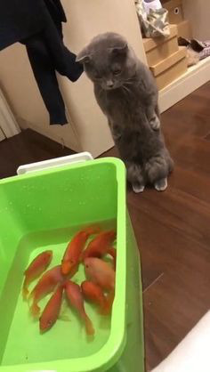 ���� 11: � ����������!