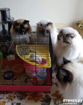 ���� 12: � ����������!