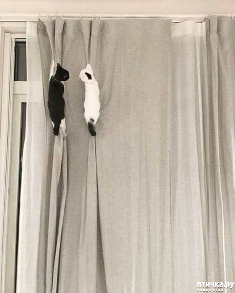 ���� 14: � ����������!