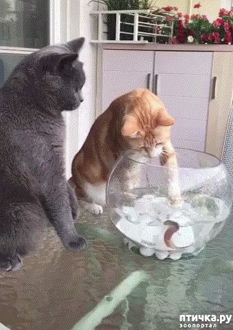 ���� 15: � ����������!