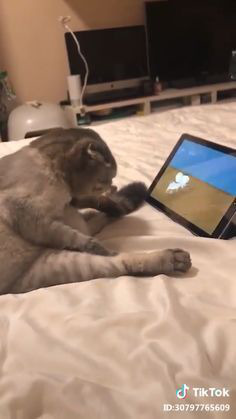 ���� 16: � ����������!