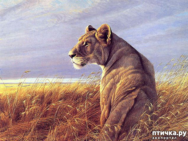 ���� 22: Robert Bateman