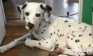 ����: ������� ���� ������ ������������ � ������