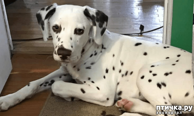 ���� 1: ������� ���� ������ ������������ � ������