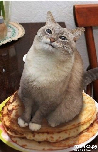 ���� 18: � ����������!