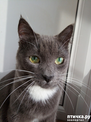 ����: ������� ��������