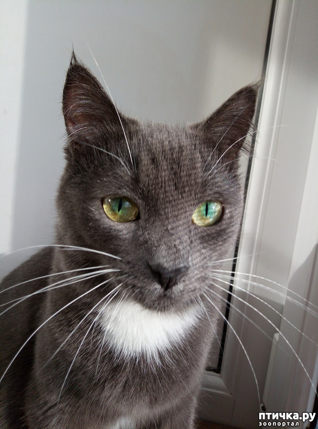 ���� 1: ������� ��������