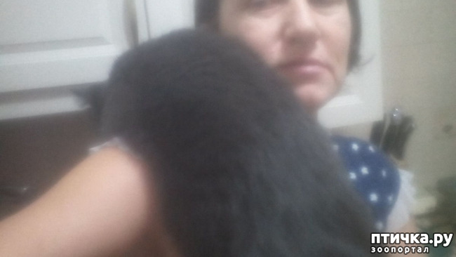 ���� 3: ������� ��������