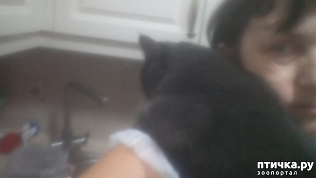 ���� 4: ������� ��������