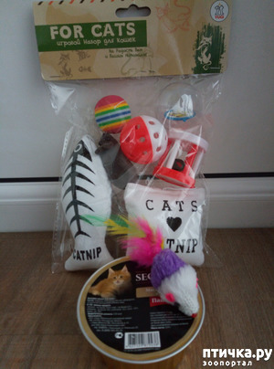 ����: ������� ����� ���