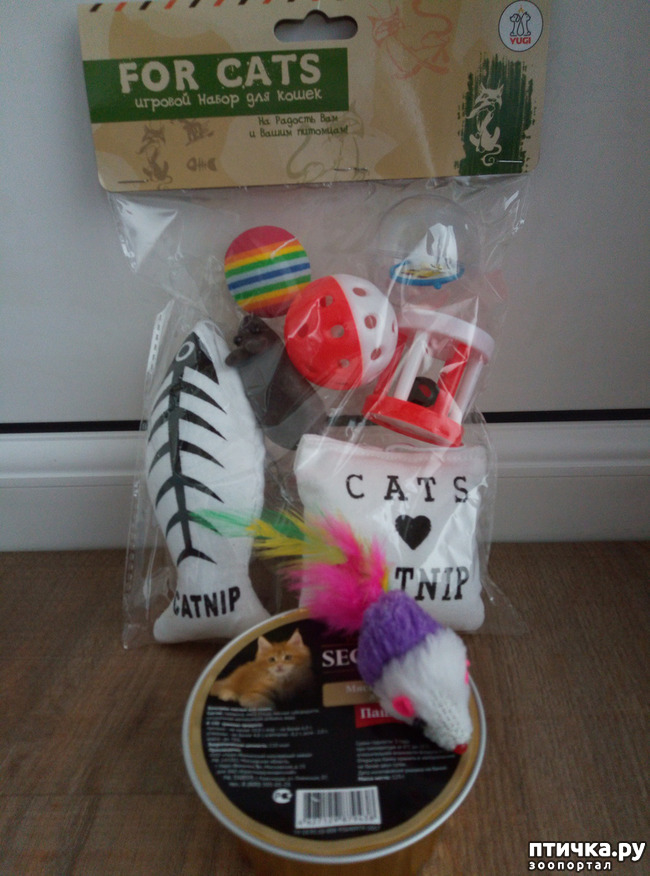 ���� 1: ������� ����� ���