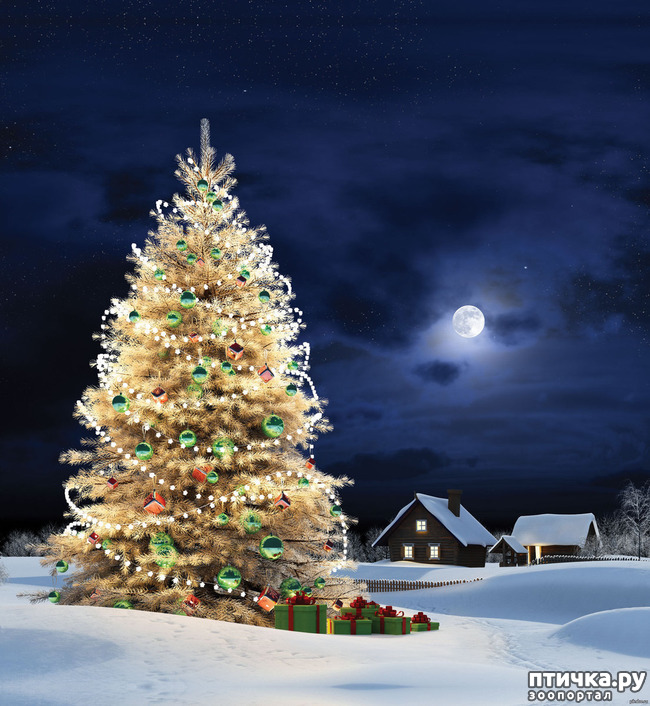 ���� 1: � ����� �����!