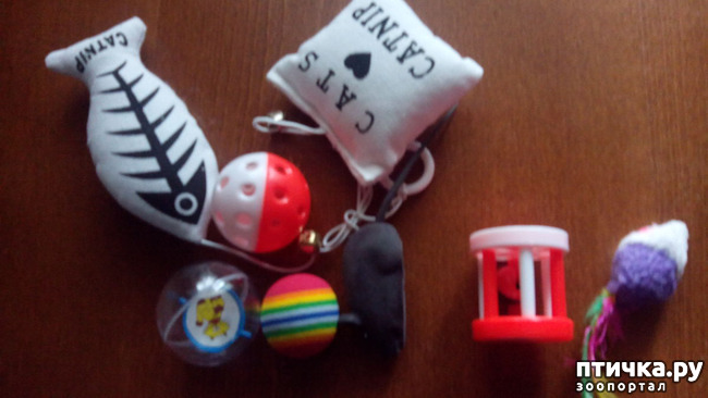 ���� 3: ������� ����� ���