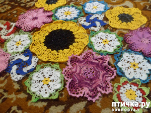 ����: ��� � � ��������� ����������...