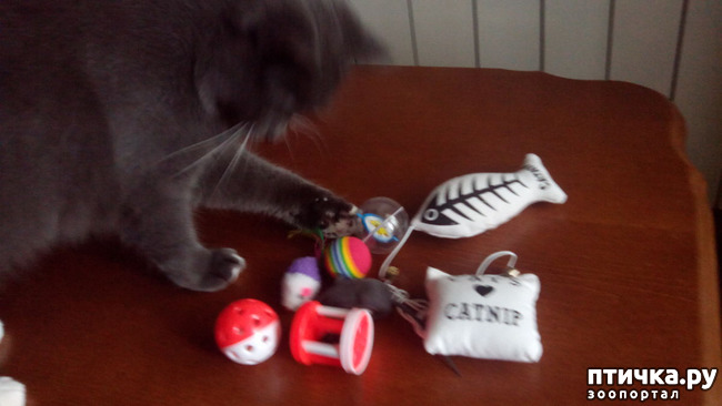 ���� 4: ������� ����� ���