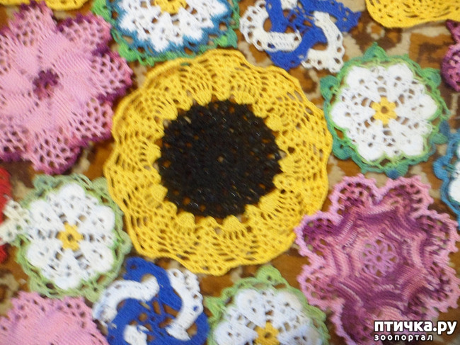 ���� 2: ��� � � ��������� ����������...