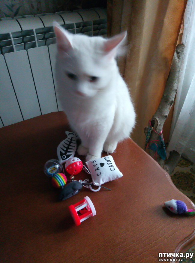 ���� 5: ������� ����� ���