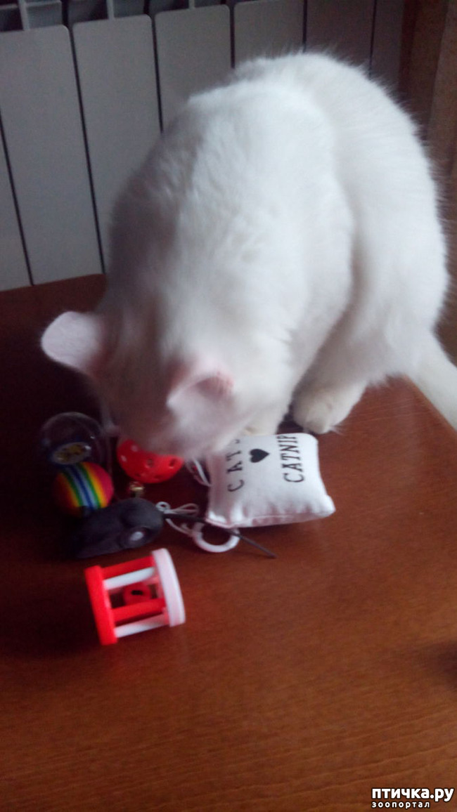 ���� 6: ������� ����� ���